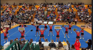 Competitive Game Day & Traditional Cheer Team Evaluation Waitlist